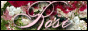 Shabby Chic Links