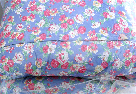 Ralph Lauren Hope Floral Comforter